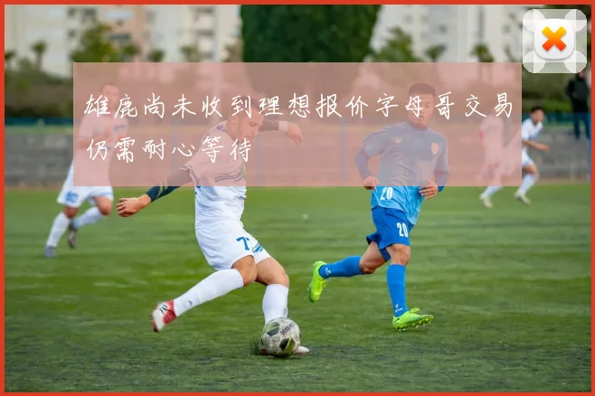 雄鹿尚未收到理想报价字母哥交易仍需耐心等待